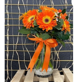 Turuncu Gerbera Çiçeği